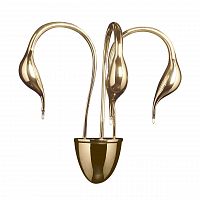 бра lightstar cigno collo 751632 в Йошкар-Оле