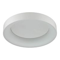 потолочный светодиодный светильник odeon light sole 4062/40cl в Йошкар-Оле