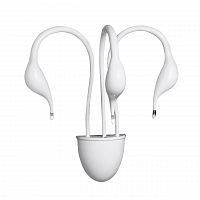 бра lightstar cigno collo wt 751636 в Йошкар-Оле