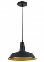 подвесной светильник odeon light kasl 3378/1 в Йошкар-Оле