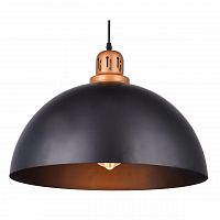 подвесной светильник arte lamp eurica a4249sp-1bk в Йошкар-Оле