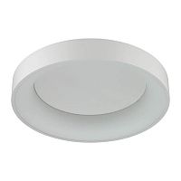 потолочный светодиодный светильник odeon light sole 4062/50cl в Йошкар-Оле